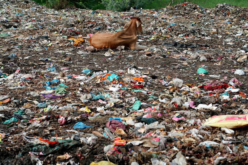 Dumping Building Materials Dumping Building Materials